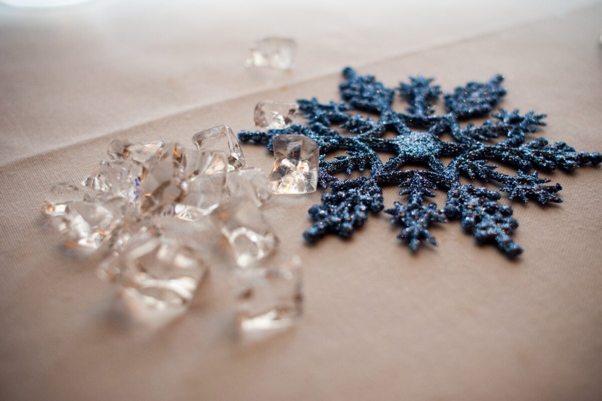 Parti & Organizasyon